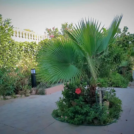Appartement Solanas 1 Torrevieja